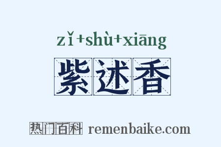 紫述香是什么意思的图片